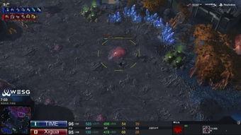 中国星际争霸爆料视频完整版,中国电竞战队备战新篇章